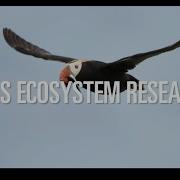 USGS Ecosystem Research