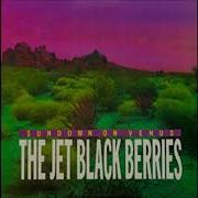 Jet Black Berries Bad Hombre