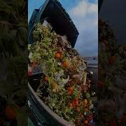 Garbage Truck Picking Up Food Waste
