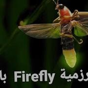 Firefly Algorithm شرح خوارزمية الحشرات المضيئة اليرعات بالعربي