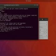 Rmove Pygame In Ubuntu