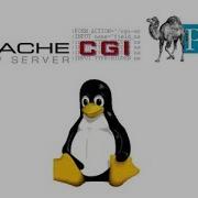 Pract 12 Configure Apache Web Server To Support CGI On RHEL 6