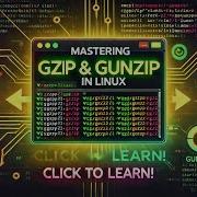 Mastering Gzip Gunzip In Linux Compress Decompress Like A Pro