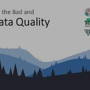 The Good The Bad And The Data Quality