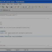 Flex In A Week V4 04 Creating And Formatting The DataGrid Control
