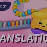Translation How RNA Gets Translated Into Protein Power Crash Course Biology 35