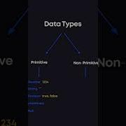 JavaScript Data Types Programming Coding Javascript Datatypes Frontend