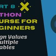 Variables In Python Assign Values To Multiple Variables In Python Python Tutorial For Beginners