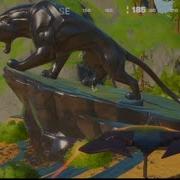 Visit Panther Prowl