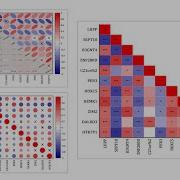 Correlation Plot App