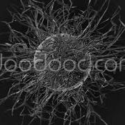 Sphere Music Visualization Doodooc Com
