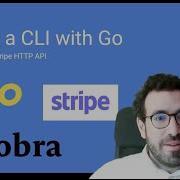 How To Build A CLI With Go Calling The Stripe HTTP API