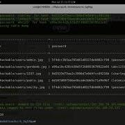21 Web Hunting SqlMap Automate SQL Injection