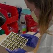 Tour A Fully Automated Clinical Microbiology Lab