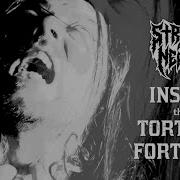 Struck A Nerve Inside The Torture Fortress OFFICIAL VIDEO