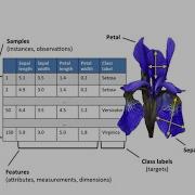 Python Lab 2 K Nearest Neighbors Classifier