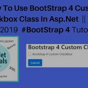 How To Use Bootstrap 4 Custom Checkbox Class In Asp Net Vs 2019 Bootstrap 4 Tutorials 34