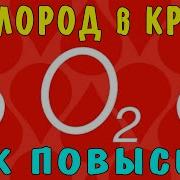 КИСЛОРОД в КРОВИ СПАСЁТ ВАС Как Повысить Кислород в Крови и избежать повреждения клеток