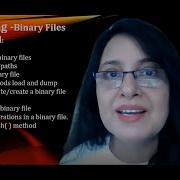 Binary File Handling In Python