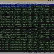 Как создать сервер MySQL с помощью Docker Compose