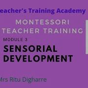 Module 3 Activities For Sensorial Development