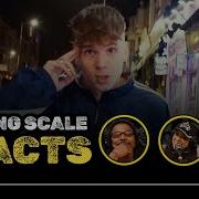 Ren Genesis Grading Scale Reacts