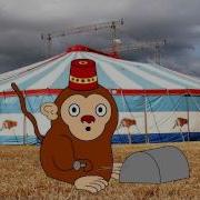 Circus Monkey