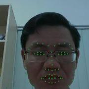 Facial Landmarks Detection