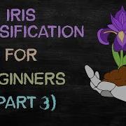 Iris Classification Part 3 K Nearest Neighbors Classifier