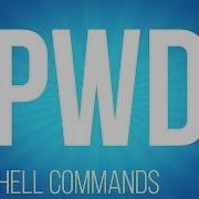 Команды оболочки BASH Pwd команды для Linux