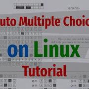 Lesson 14 Downloading And Getting Explained The AMC LaTeX Processing Script