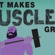 What Makes Muscles Grow Jeffrey Siegel