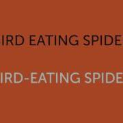 Punctuation Using Hyphens To Clarify Meaning KS2
