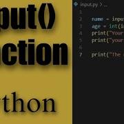 Python Input Function A Comprehensive Guide For User Interaction