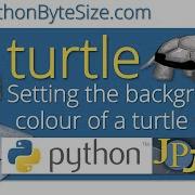 Setting The Background Color Of A Python Turtle Screen