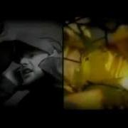 Дымовая Завеса Когда Не Хочется Верить HD