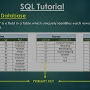 4 Primary Key SQL MySQL Malayalam Tutorial