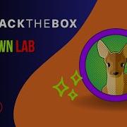 HackTheBox Fawn Fawn HTB Fawn Hack The Box