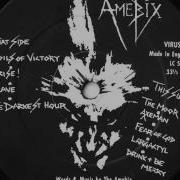 AMEBIX Slave C T G