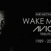 No Method Wake Me Up AVICII TRIBUTE