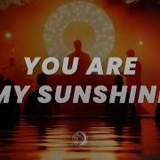 Palm Monkey RUSSI YOU ARE MY SUNSHINE Afro House