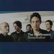 The Wallflowers Sleepwalker Jack Joseph Puig 6 15 00 Version