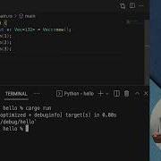 Rust Vectors Introduction