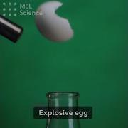 Explosive Egg