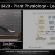 BIOPL3420 Физиология растений Лекция 15