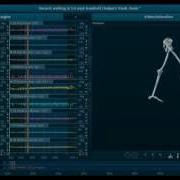 Walking Gait Analysis
