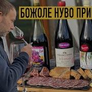 Что такое молодое вино I Как проходит праздник БОЖОЛЕ НУВО во Франции