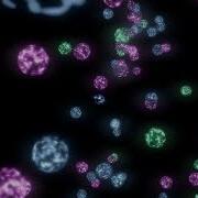Tooth Enamel At The Atomic Scale