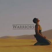 Multifandom Warriors
