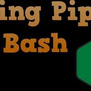 Bash Shell Scripting For Beginners Using Pipes